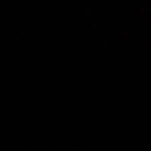 Meet your Posher, Dane